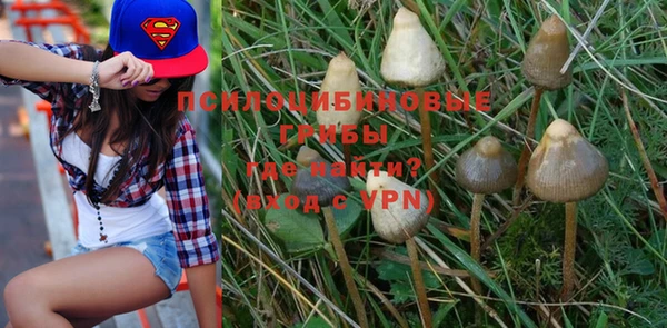 PSILOCYBIN Бородино