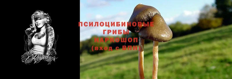 Псилоцибиновые грибы Magic Shrooms  где можно купить наркотик  Гаврилов Посад 