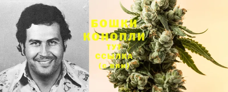 Шишки марихуана Ganja  Гаврилов Посад 